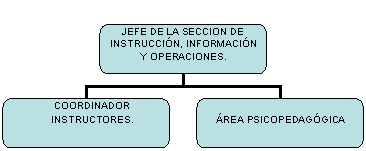 Organigrama
